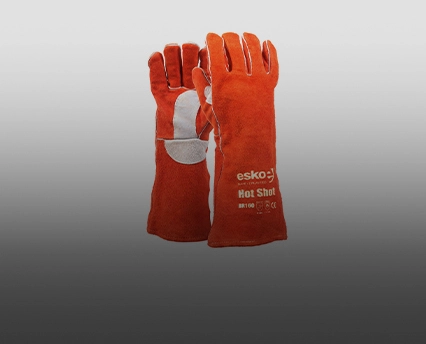 Picture for category Gloves